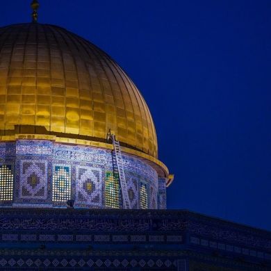 Марьям Имамова Profile Picture