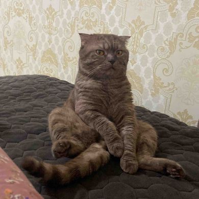 Абдуррахман Избергск