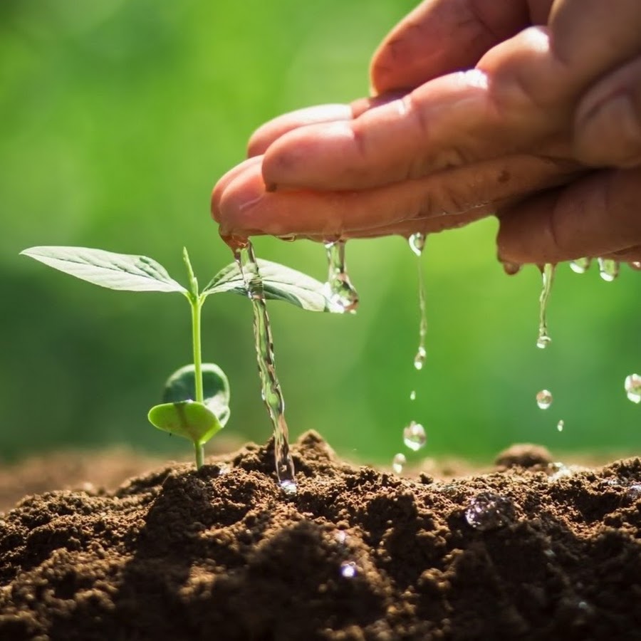 Арабский в деле - YouTube