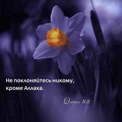 Умар  Раджабов  Profile Picture