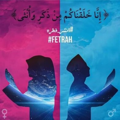 Mahmoud Hassan Profile Picture