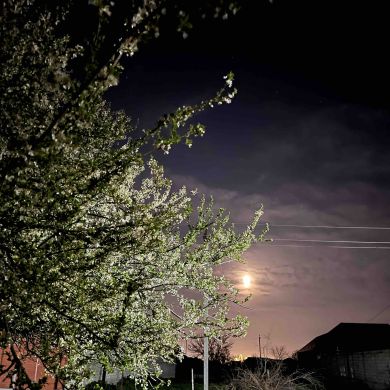 Dread One Profile Picture