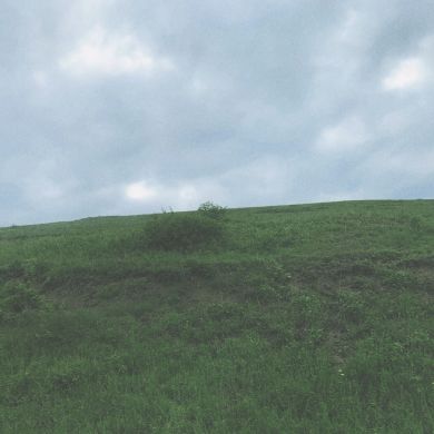 ادام الشيمق Profile Picture