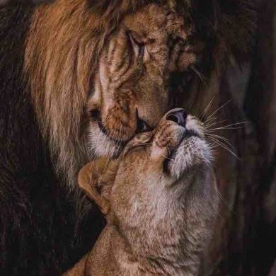 Мадина Магомедова