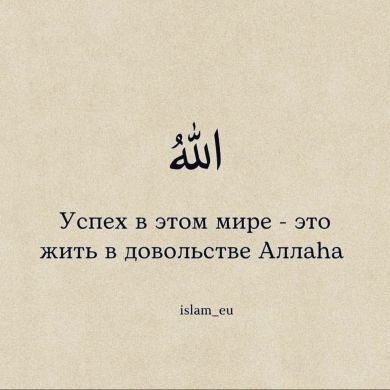 Elchin  Salmanov Profile Picture