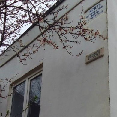 Саида  Сафарова