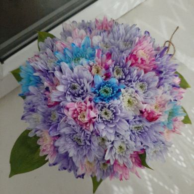 шагьар Ахмедханова Profile Picture