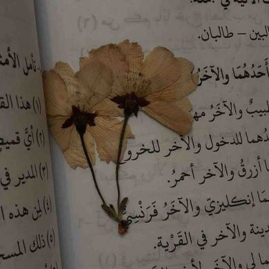 Неби  Далаева