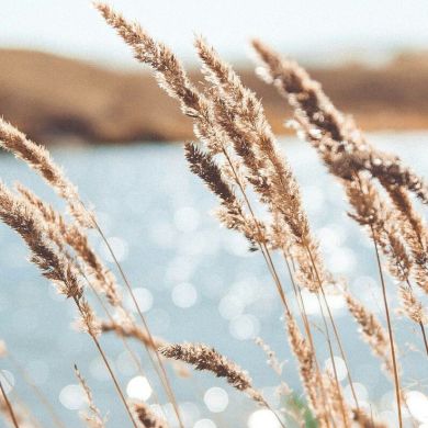 Umm Safia  Profile Picture