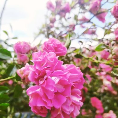 Умма Умма Profile Picture