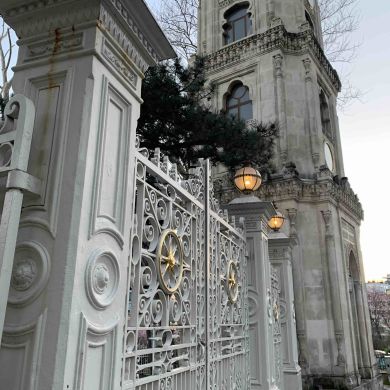 Maryam Tolstova  Profile Picture