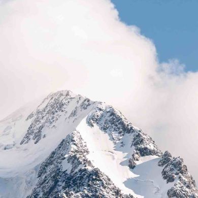 Abu Muhammad Profile Picture