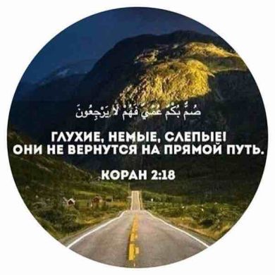 Мухаммад  Умаров Profile Picture