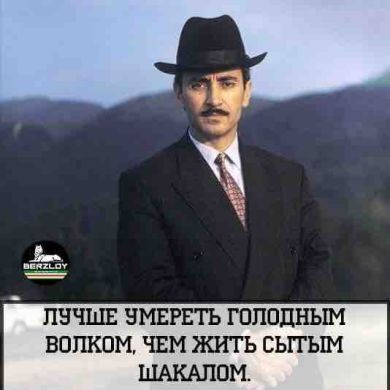 Islam Bokov Profile Picture