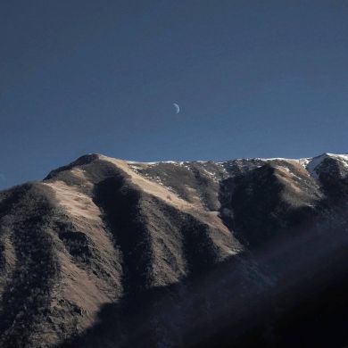 Musaev S Profile Picture