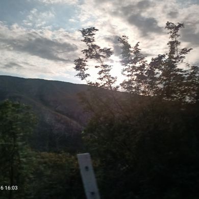 Надежда Любовь  Profile Picture