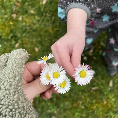 MULTI MAM Profile Picture