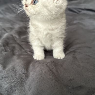 Патимат Адухова Profile Picture