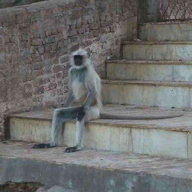 Сулейман Умаров Profile Picture