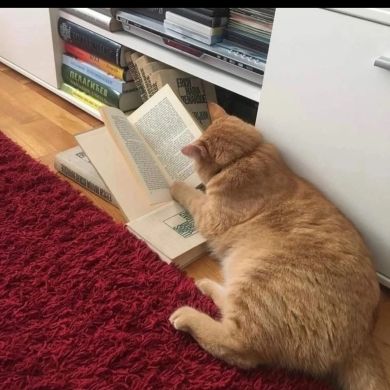 Терпения Всем