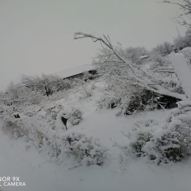 AssaduLlah In sha Allah Profile Picture