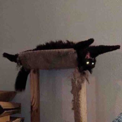 Амина Хамхоева Profile Picture