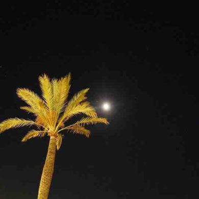 Халид  Хариса Profile Picture