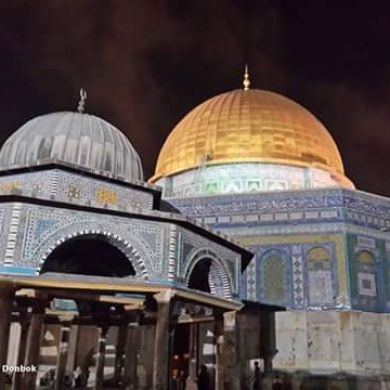 سليمان  صلاح