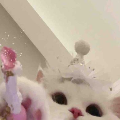 خديجة القرم Profile Picture