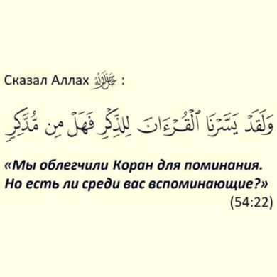 Muwahhld Profile Picture