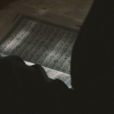 milo serdie Profile Picture