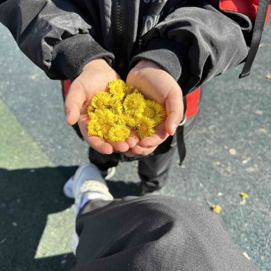 NO NAME  Profile Picture