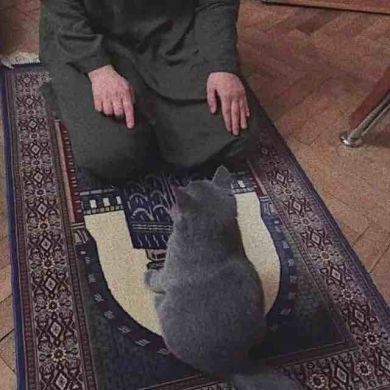 Ильяс Капланов Profile Picture