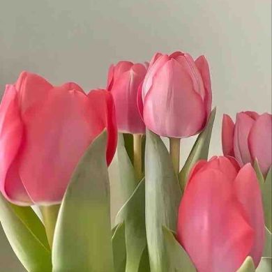 Khidaya Yakubova  Profile Picture