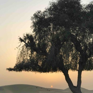 Vadim Hurumov Profile Picture