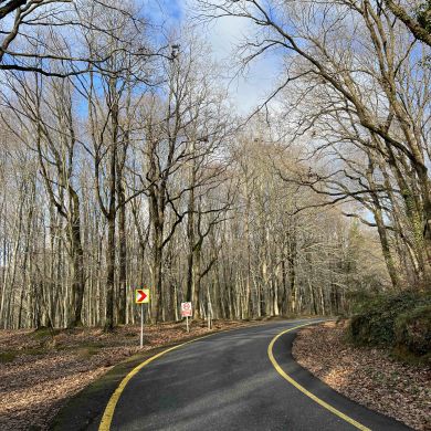 Мухаммад Исмаилов  Profile Picture