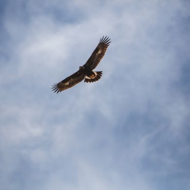 Салих  Гаджиев Profile Picture