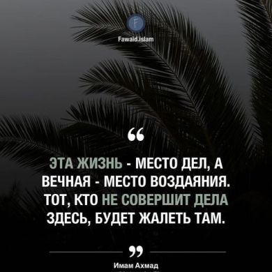 muhadjir Mekkinskii Profile Picture