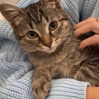 Заира Ханбабаева Profile Picture