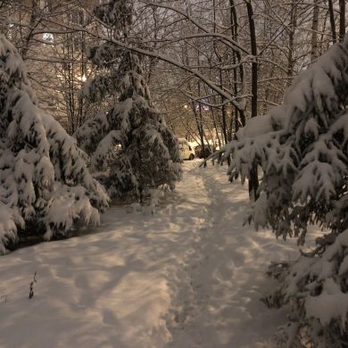 Адам Адамов Profile Picture