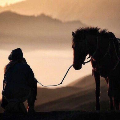 Khanpasha Gadzhibaga