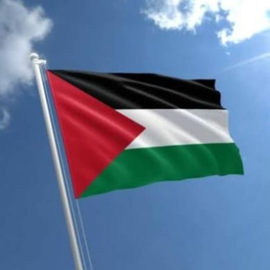 Muhammed Almardoud Profile Picture