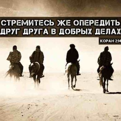 Lev Levich  Profile Picture