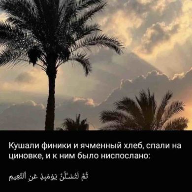 Марьям Курбаналиева Profile Picture