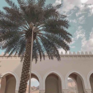 Ibragim-Adam  Demilkhanov Profile Picture