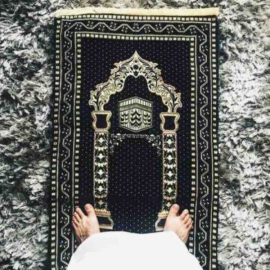 Aslan 1408 Profile Picture