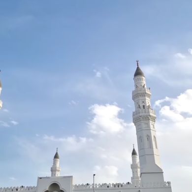 Elizaveta  Reykh Profile Picture