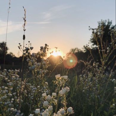 Диана Кононова