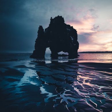 Магомед Абдулгамидов Profile Picture