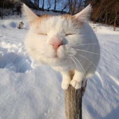 . dsh._.life . Profile Picture